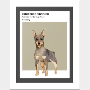 Minature Pinscher Posters and Art